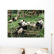 China Sichuan Giant Panda Wall Decal