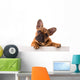 French Bulldog Puppy Wall Decal