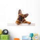 French Bulldog Puppy Wall Decal