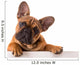 French Bulldog Puppy Wall Decal
