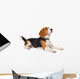 Beagle Dog White Wall Decal