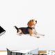 Beagle Dog White Wall Decal