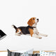 Beagle Dog White Wall Decal
