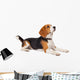 Beagle Dog White Wall Decal