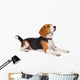 Beagle Dog White Wall Decal