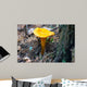 Mushroom Chanterelle Wall Decal