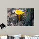 Mushroom Chanterelle Wall Decal