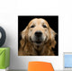 Golden Retriever Wall Decal
