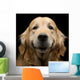 Golden Retriever Wall Decal