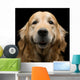 Golden Retriever Wall Decal