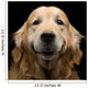 Golden Retriever Wall Decal