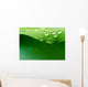 Water Plant Leaf Wall Decal
