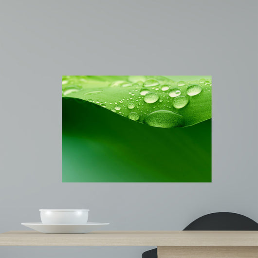 Water Plant Leaf Wall Decal