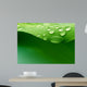 Water Plant Leaf Wall Decal