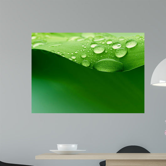 Water Plant Leaf Wall Decal