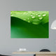 Water Plant Leaf Wall Decal