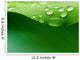 Water Plant Leaf Wall Decal