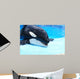 Killer Whale Wall Decal