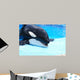 Killer Whale Wall Decal