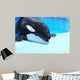Killer Whale Wall Decal