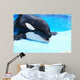 Killer Whale Wall Decal