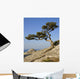 Crimea Coast Black Sea Wall Decal