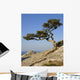 Crimea Coast Black Sea Wall Decal