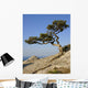 Crimea Coast Black Sea Wall Decal