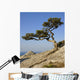 Crimea Coast Black Sea Wall Decal