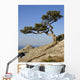 Crimea Coast Black Sea Wall Decal