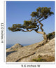 Crimea Coast Black Sea Wall Decal