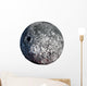 Asteroid Wall Decal