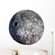 Asteroid Wall Decal