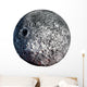 Asteroid Wall Decal