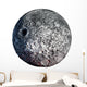 Asteroid Wall Decal