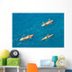 Three Kayaks Wall Decal