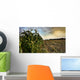 Corn Field Half Harvested Wall Decal