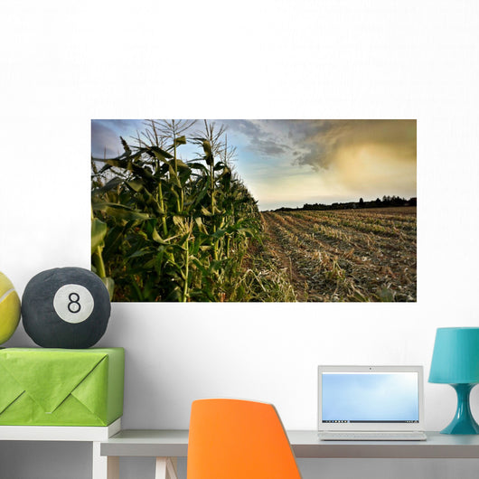 Corn Field Half Harvested Wall Decal