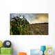 Corn Field Half Harvested Wall Decal
