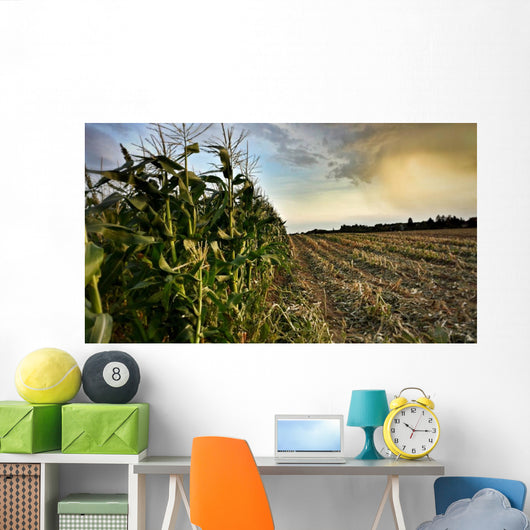 Corn Field Half Harvested Wall Decal