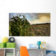 Corn Field Half Harvested Wall Decal