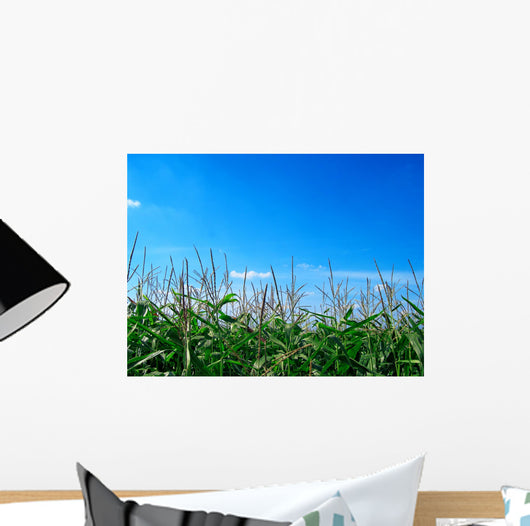 Corn Field Wall Decal