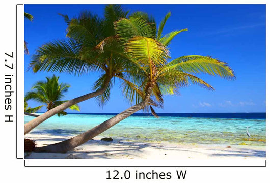 Phenomenal Beach Palm Trees Wall Decal