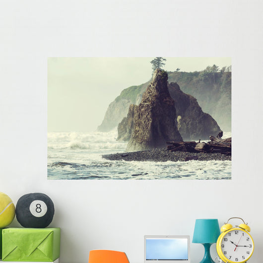 Olympic Coast Wall Decal
