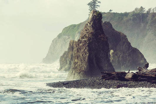 Olympic Coast Wall Decal