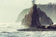 Olympic Coast Wall Decal