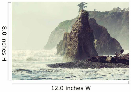 Olympic Coast Wall Decal