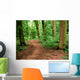 Unpaved Road Forest Wall Decal