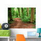 Unpaved Road Forest Wall Decal