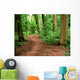 Unpaved Road Forest Wall Decal